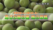 6月16日