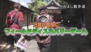 5月11日