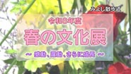 6月22日