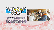 3月17日