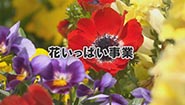 6月1日