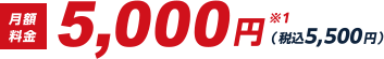 月額料金5,000円※3（税込5,500円）