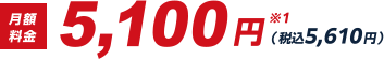 月額料金4,900円※1（税込5,390円）