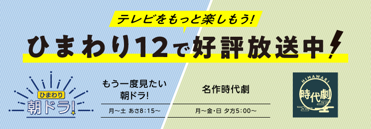 ひまわりネットワーク株式会社 豊田市 みよし市 長久手市のテレビ ネット デンワならひまわりネットワーク ひまわりネットワーク株式会社 豊田市 みよし市 長久手市のテレビ ネット デンワならひまわりネットワーク