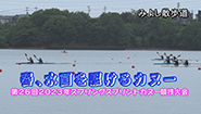 5月29日