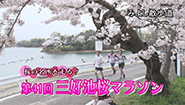 5月20日