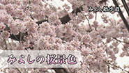 4月29日