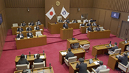6月11日