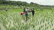 6月27日