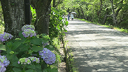 6月7日