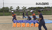 6月17日