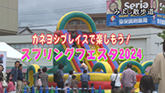 6月3日