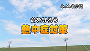 7月22日