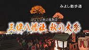 11月11日