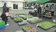 4月23日