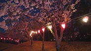 4月9日