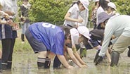 6月12日