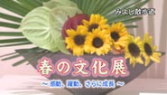 6月23日