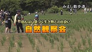 7月21日
