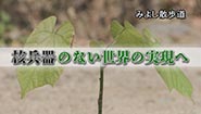 9月15日