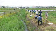 5月29日