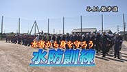 6月15日