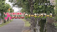 6月29日
