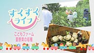 8月4日
