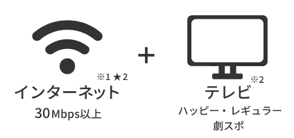 インターネット（30Mbps以上）+テレビ（ハッピー レギュラー 劇スポ）
