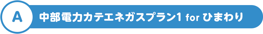 A 中部電力カテエネガスプラン1 for ひまわり