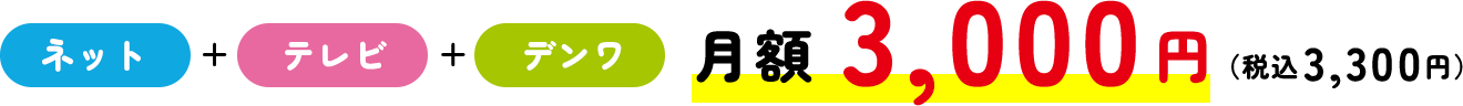 月額3,000円(税込3,300円)