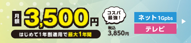 スマートパックダブル