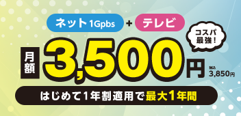 ネット＋テレビ 月額3,500円（税込3,850円）