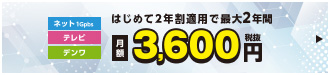 ひまわり光スマートBパックトリプル スタート2年割
