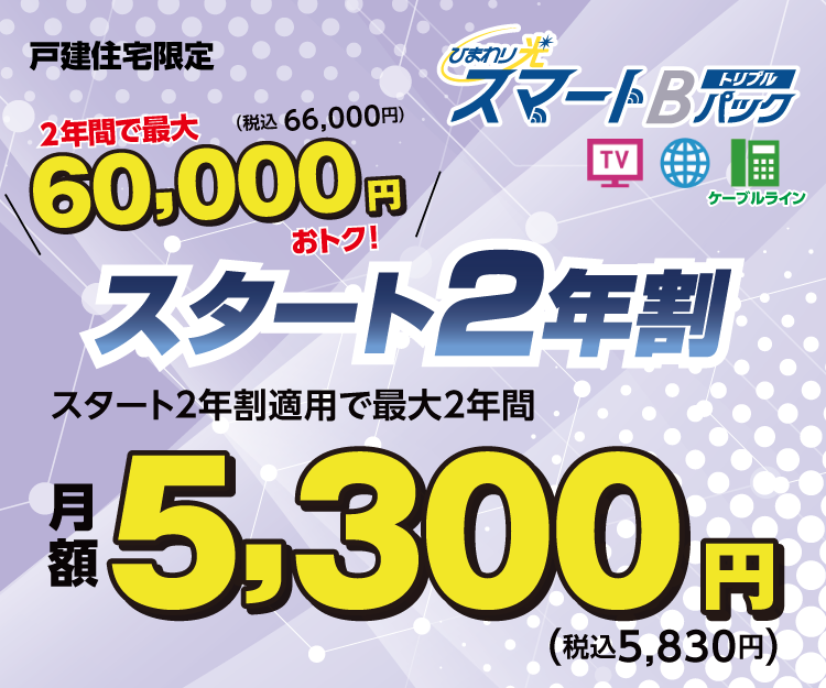 戸建住宅限定　ひまわり光スマートBトリプルパック　スタート2年割