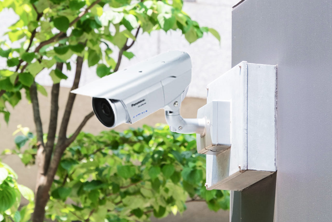 ひまわり光みまもりカメラ