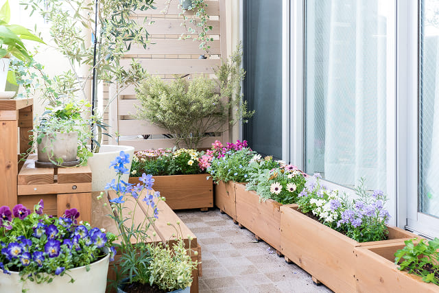 菜園やお庭をモニタリング