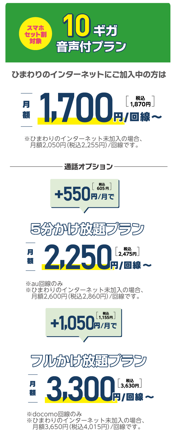 10ギガ音声付プラン