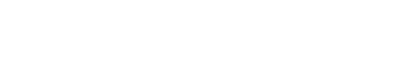 オプションサービス（option service）