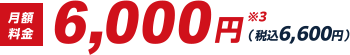 月額料金6,000円※3（税込6,600円）
