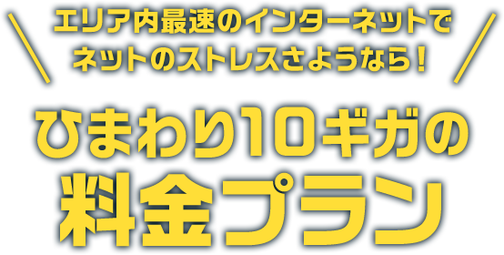 エリア内最速インターネット ひまわり光10ギガ ひまわりネットワーク株式会社 エリア内最速インターネット ひまわり光10ギガ ひまわりネットワーク株式会社