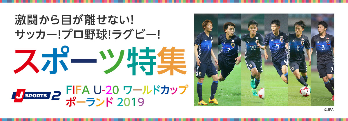 スポーツ特集