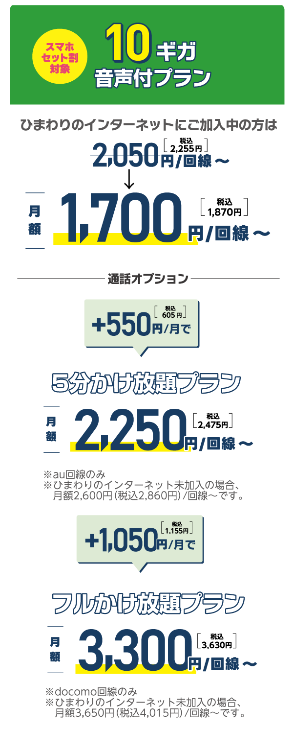 10ギガ音声付プラン