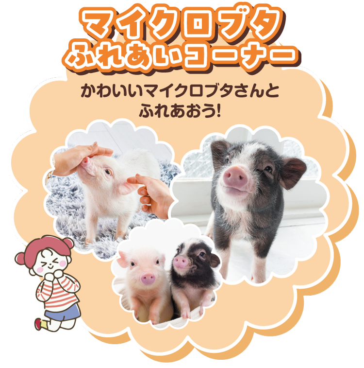 マイクロブタふれあいコーナー