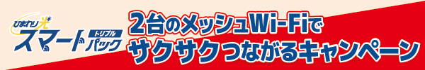 スマートBパックスタート2年割
