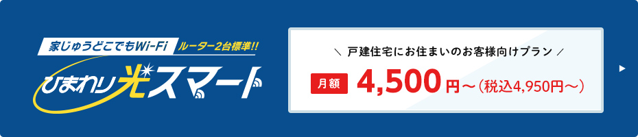 ひまわり光パック　月額4,180円～（税込4,598円～）