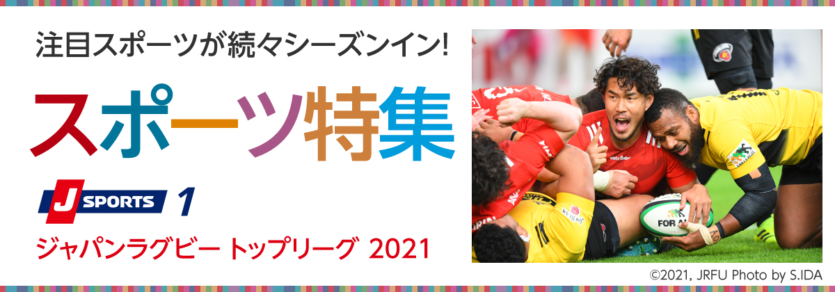 スポーツ特集