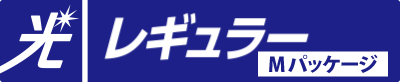 光レギュラー　Mパッケージ